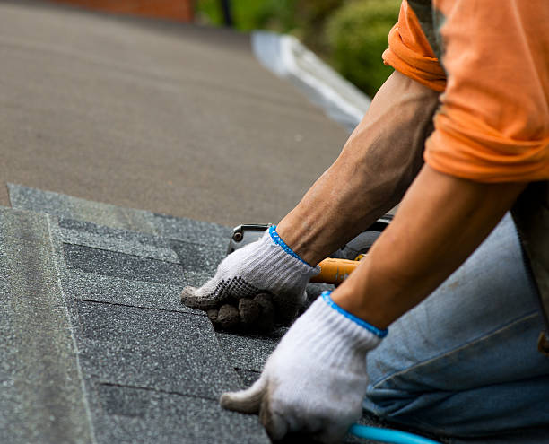 Quick and Trustworthy Emergency Roof Repair Services in Cambrian Park, CA